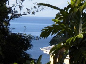GWAN THAZAR en Guadeloupe